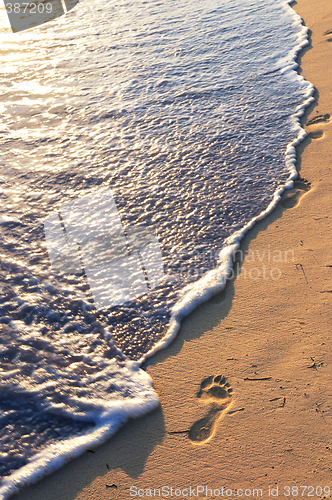 Image of Tropical beach with footprints