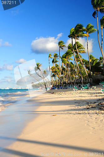 Image of Tropical beach