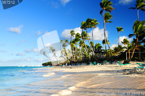 Image of Tropical beach