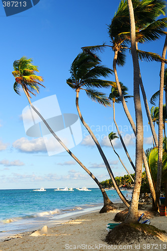 Image of Tropical beach