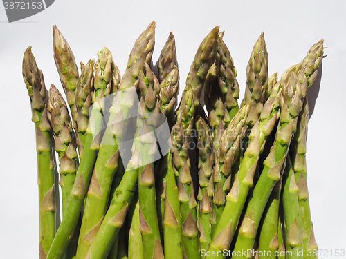 Image of Green Asparagus vegetables
