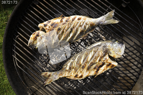 Image of Fish grill