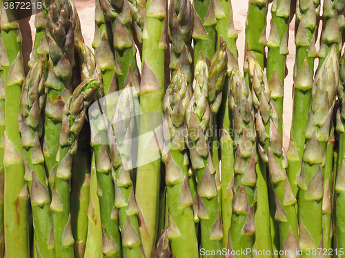 Image of Green Asparagus vegetables