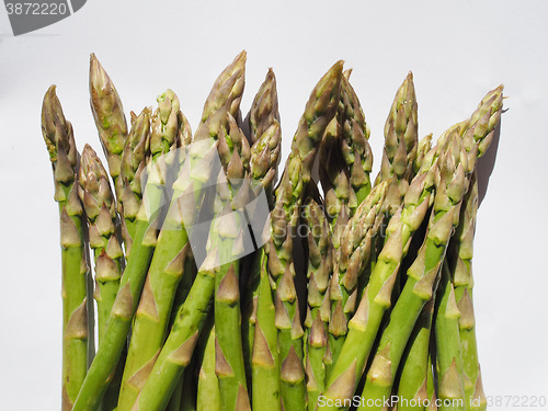 Image of Green Asparagus vegetables