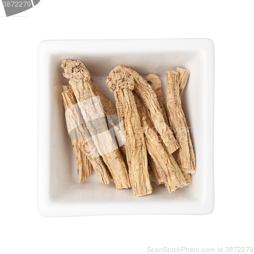 Image of Traditional Chinese Medicine - Dangshen (radix codonopsitis pilo