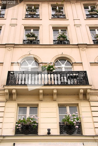 Image of Paris windows