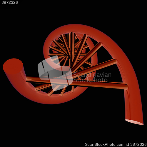 Image of DNA structure model