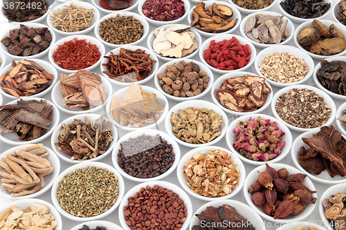 Image of Large Chinese Herbal Medicine Collection