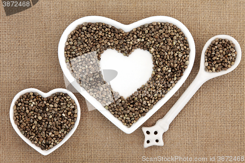 Image of Hemp Seed