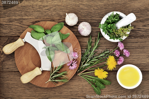 Image of Culinary Herbs