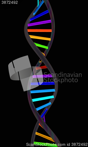 Image of DNA structure model