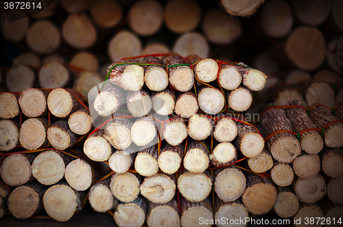 Image of Pieces of wood with bark on market - material for thanaka produc