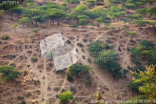 Image of Recreational Area near Pushkar, India with Crisscrossing Offroad