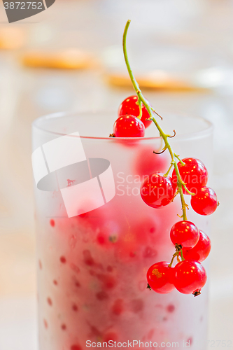 Image of Fresh red currants in glass
