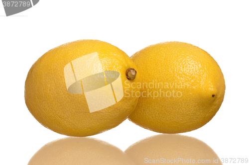 Image of Fresh lemon isolated