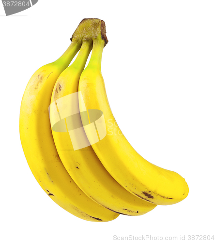 Image of Ripe bananas isolated
