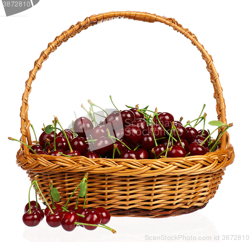 Image of Sweet cherries isolated