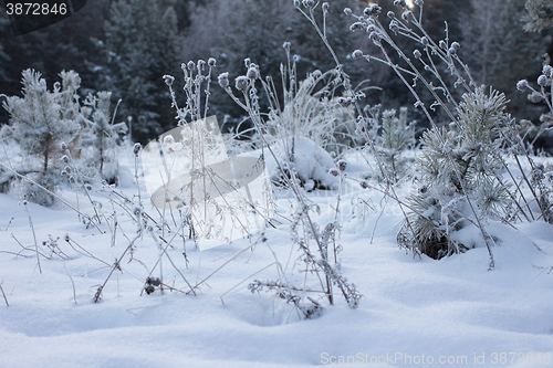 Image of Winter christmas background