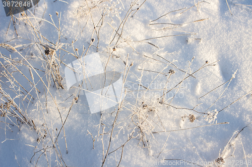 Image of Winter christmas background