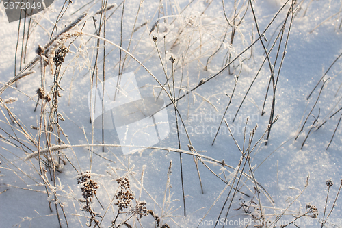 Image of Winter christmas background