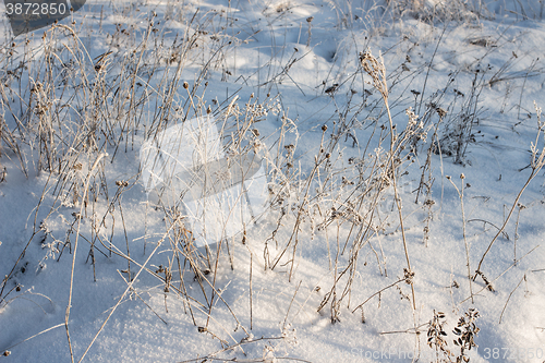 Image of Winter christmas background