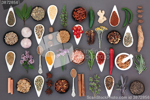 Image of Spice and Herb Sampler