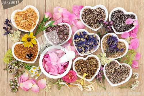 Image of Traditional Herbal Medicine