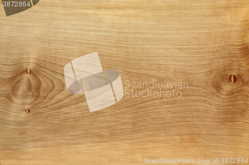 Image of Sycamore Wood Grain