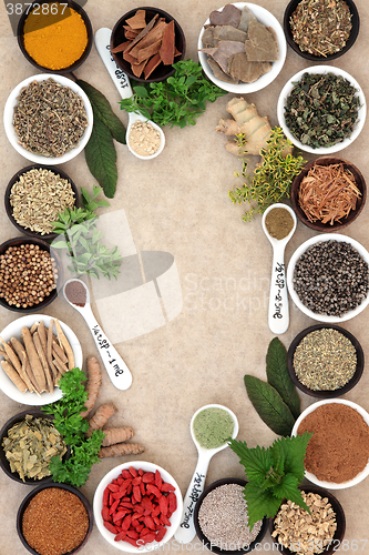 Image of Medicinal Herbs