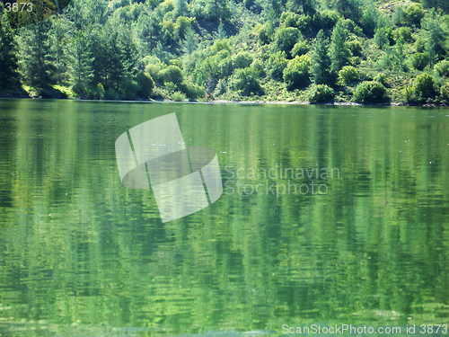 Image of Greenflections