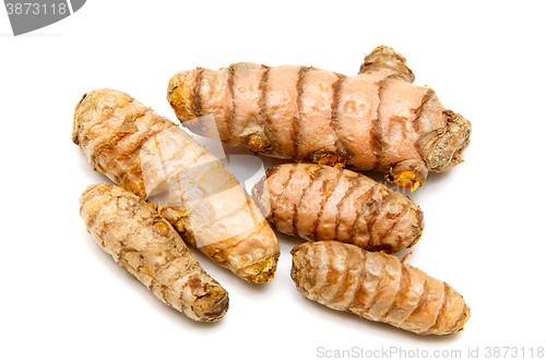 Image of fresh Turmeric rhizomes