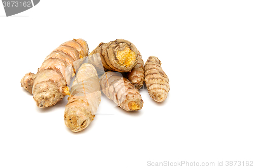 Image of Turmeric rhizomes