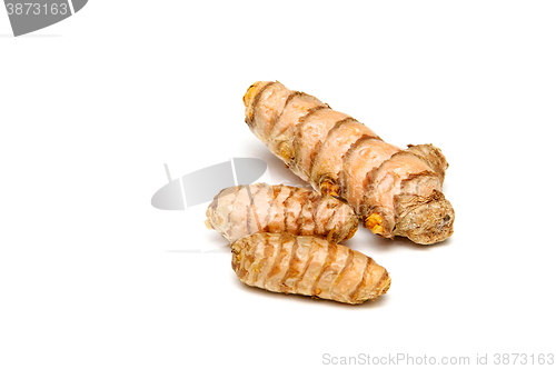 Image of Turmeric rhizomes over white