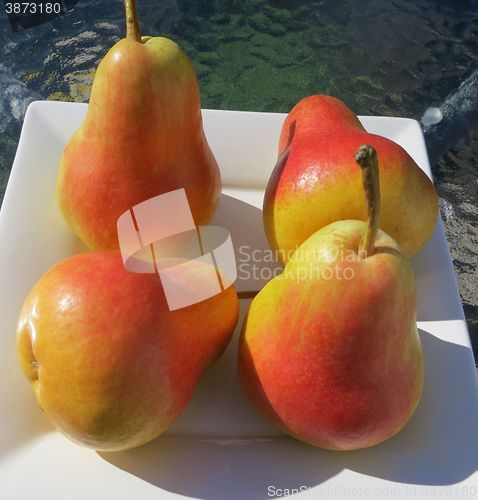 Image of Flamingo pears