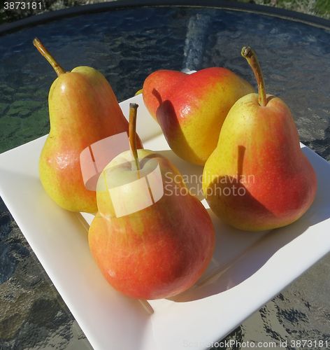 Image of Flamingo pears