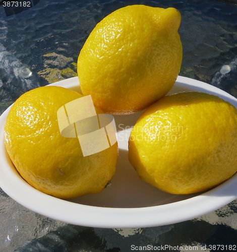 Image of Lemon