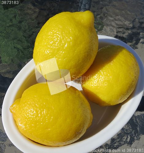 Image of Lemon