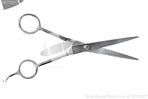 Image of Barber scissors