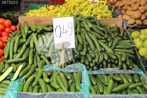 Image of Cucumbers