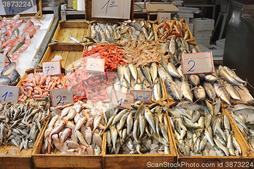 Image of Fish Market