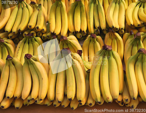 Image of Bananas