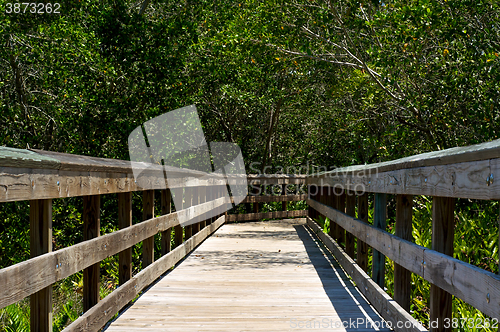Image of low view of wooden boardwalk in florida