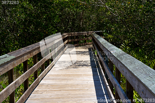 Image of Railed wooden boardwalk in florida