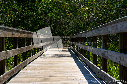 Image of wooden boardwalk in florida