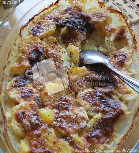 Image of Potato gratin