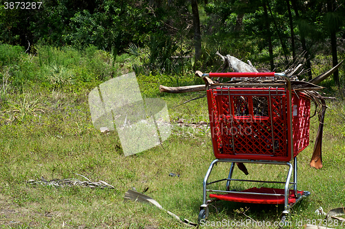 Image of supermarket shopping cart in the wilderness