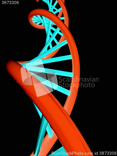 Image of DNA structure model