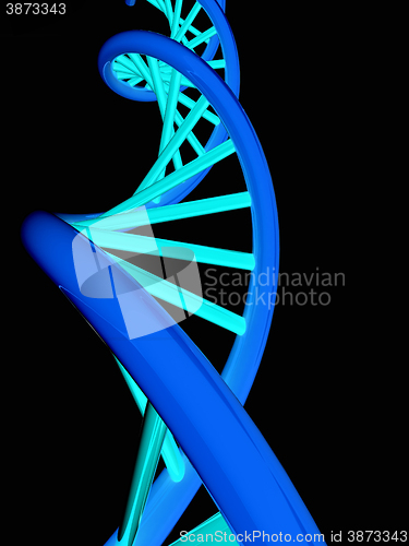 Image of DNA structure model