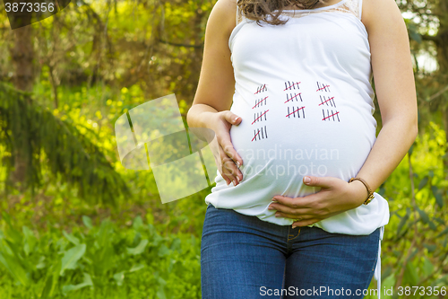 Image of Pregnant young woman outdoors in warm summer day