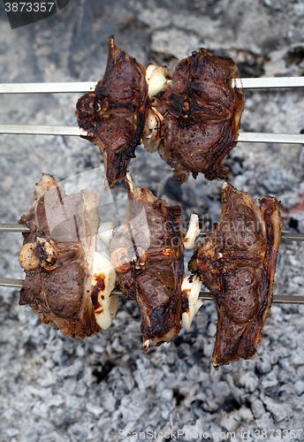 Image of Shashlik of lamb cooking on bonfire